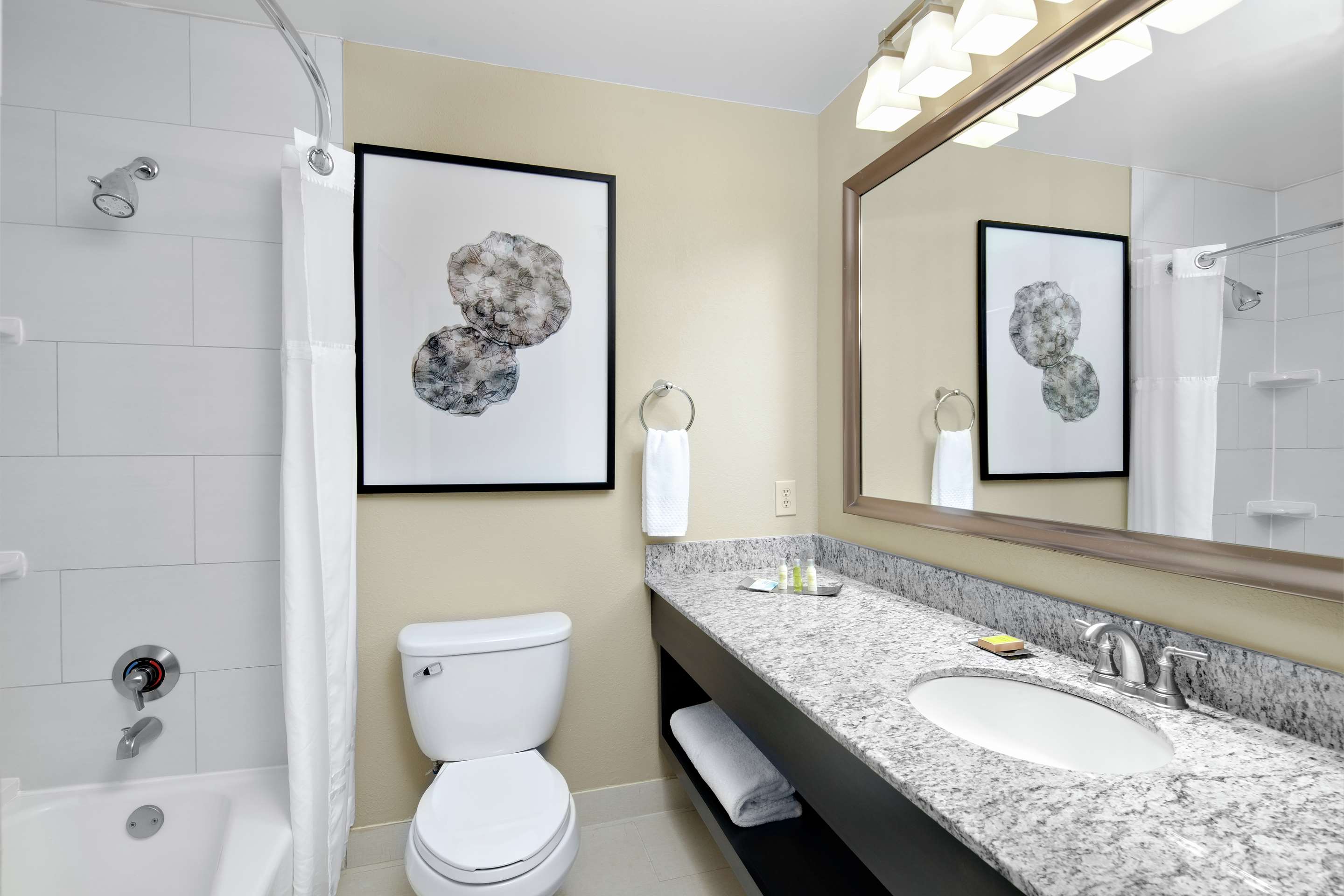 2 Queen Bed 1 Bedroom Suite with Kitchenette - Sofabed - Non-smoking