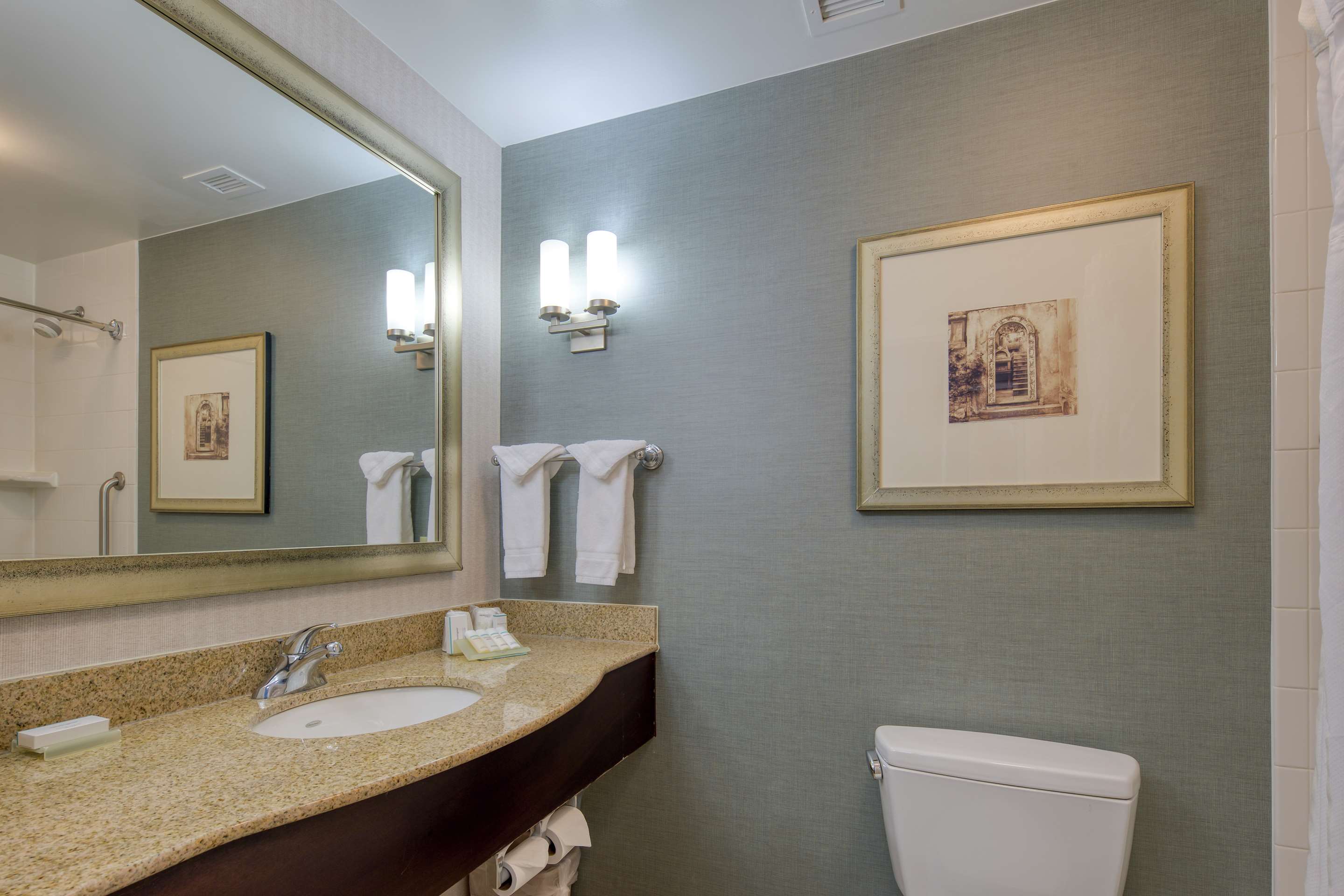 1 King Bed Junior Suite