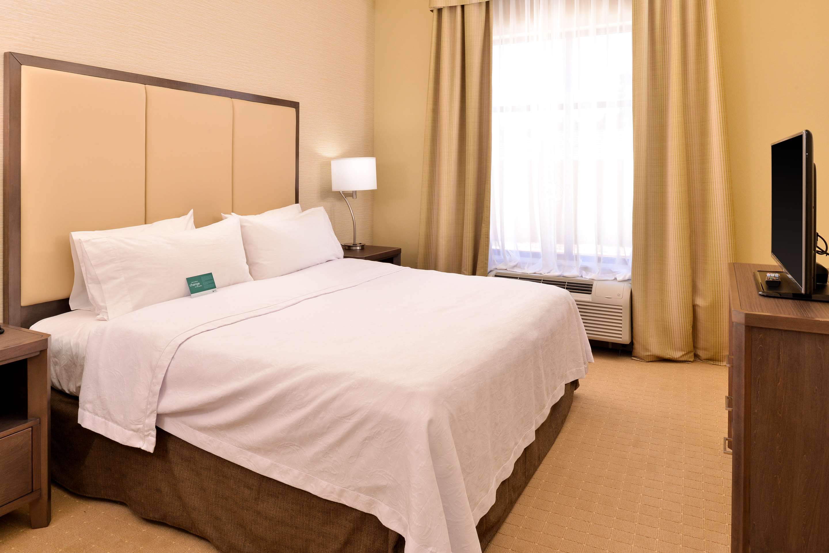 1 King Bed 1 Bedroom Suite + 2 Queen Beds 1 Bedroom Accessible Suite