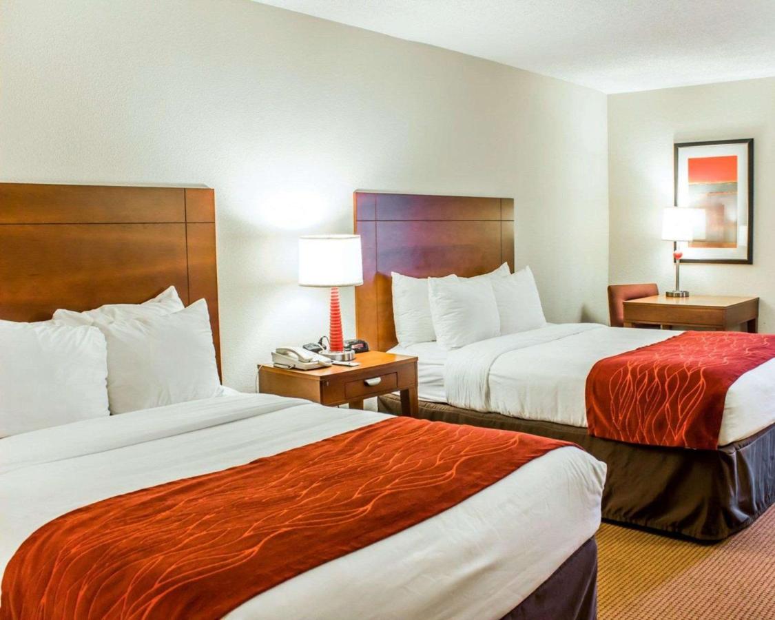Double Room with Two Double Beds - Non-Smoking