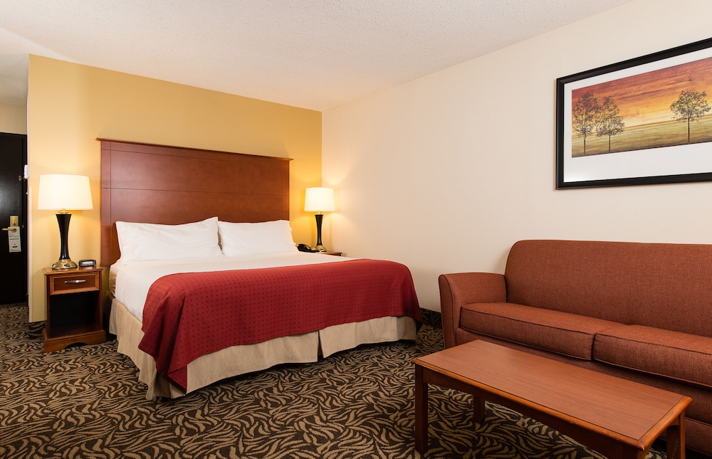 Room, 1 King Bed with Sofa bed, Non Smoking