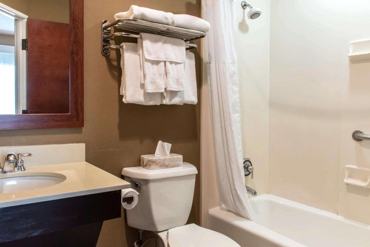 King Suite with Roll-In Shower - Accessible/Non-Smoking