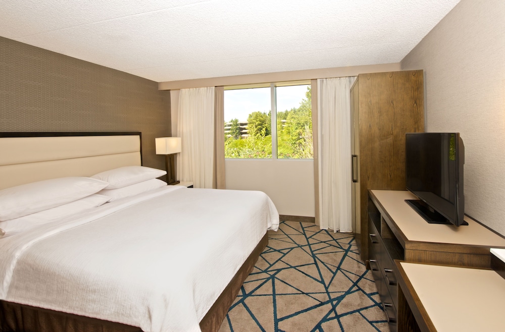 2 Room Premium Suite-1 King Bed