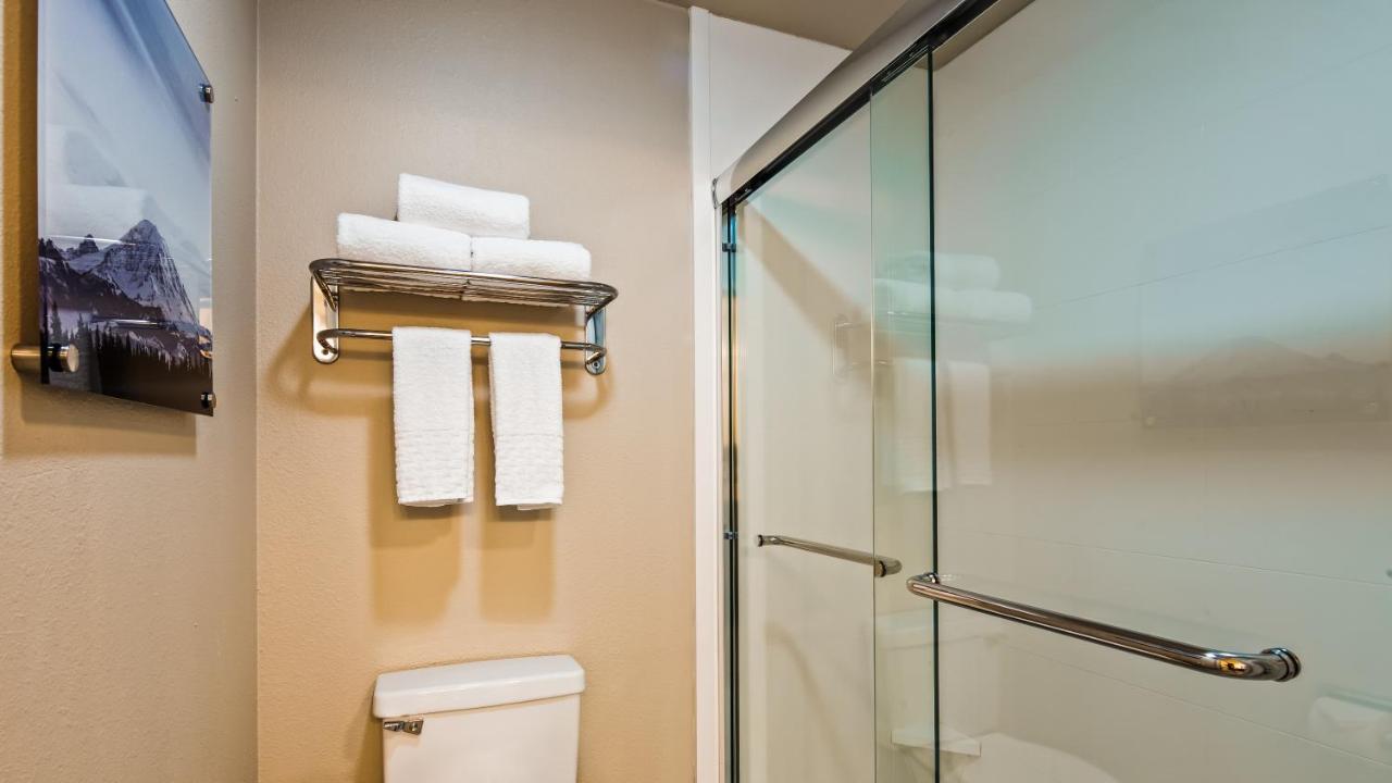 King Room with Roll-In Shower - Disability Access